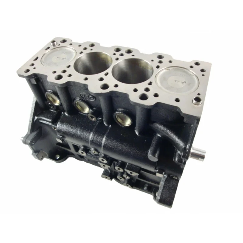 Shortblock Hyundai Santa Fe 2.4 16V 136 145 Hp G4JS
